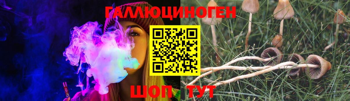 Псилоцибиновые грибы Psilocybe  Вход с VPN  сколько стоит  Нижний Новгород 